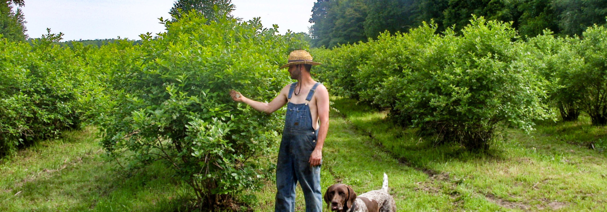 Joe and Sly on Farm Edit-cropped