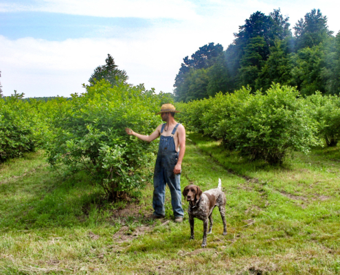 Joe and Sly on Farm Edit-cropped