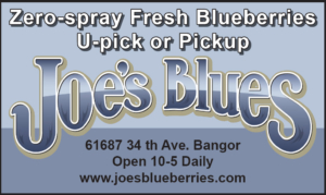joes ad