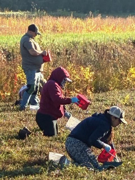 Field Workers